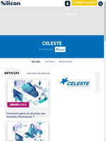  CELESTE provides information and decision-making support for IT project managers
  